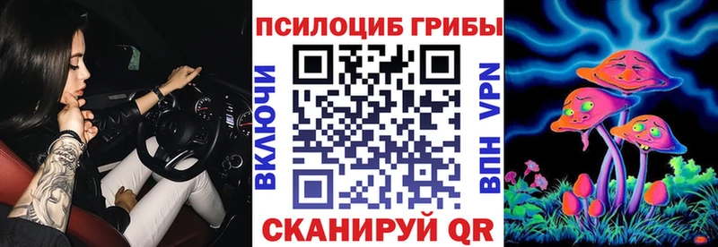 Галлюциногенные грибы MAGIC MUSHROOMS  купить  цена  Москва 
