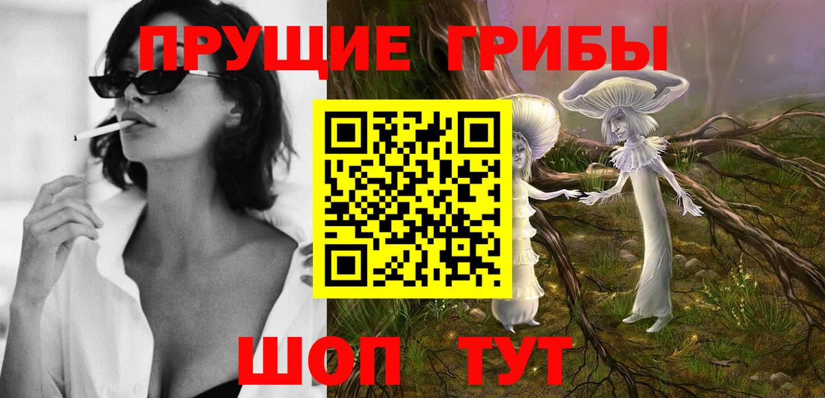 Москва  Псилоцибиновые грибы ЛСД  Вход с VPN 